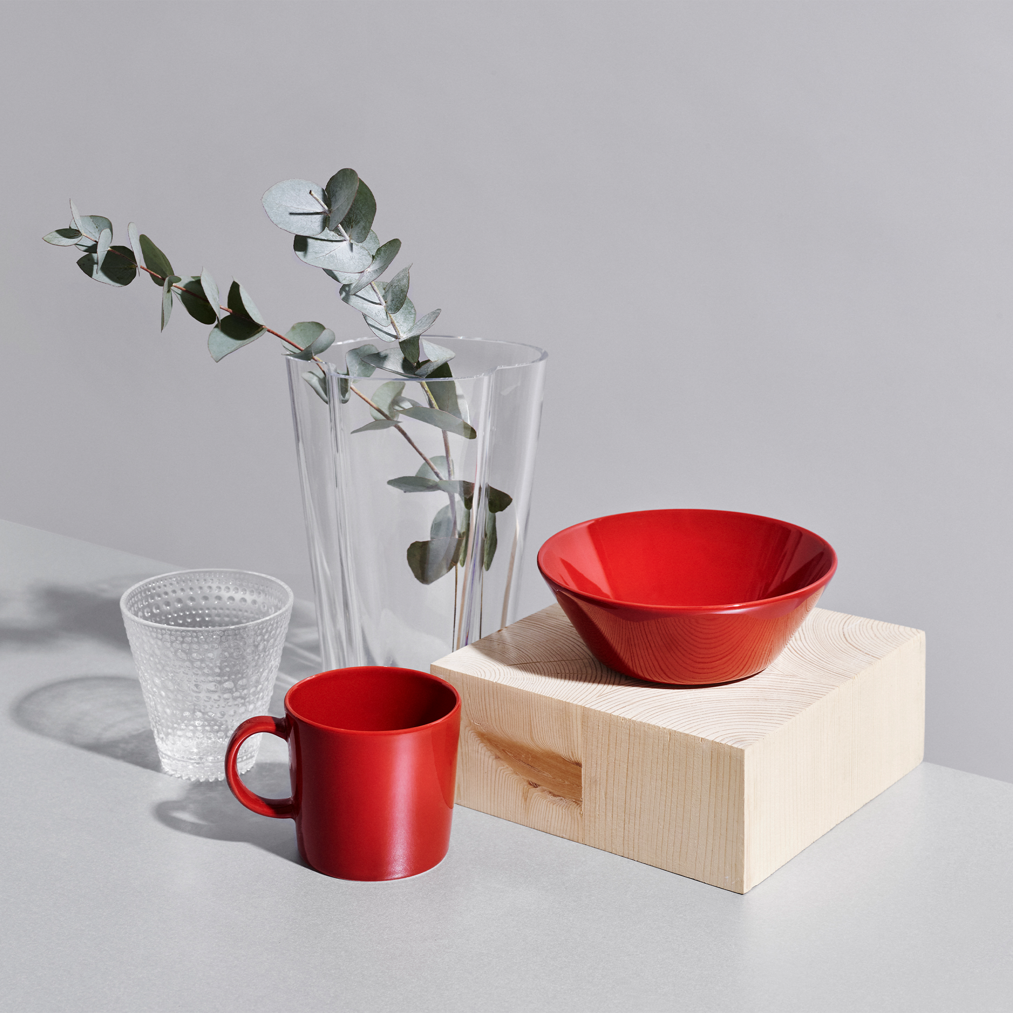 iittala Teema Red Mug